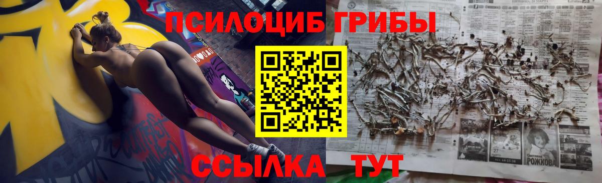 Галлюциногенные грибы Cubensis  Вход с VPN  Керчь 