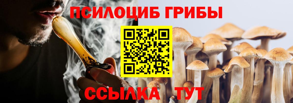 Псилоцибиновые грибы мицелий Керчь